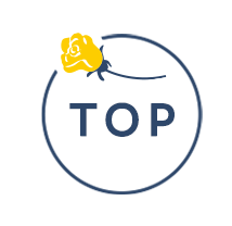 PAGE TOP