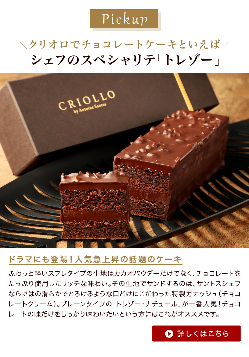 チョコレートケーキ