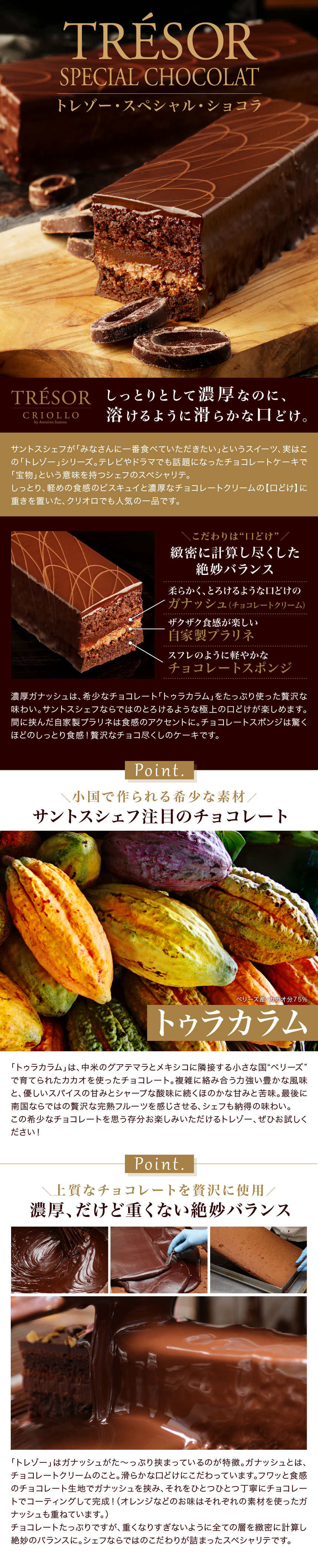 チョコレートケーキ トレゾー スペシャル ショコラ クリオロ チョコレートケーキ トレゾー スペシャル ショコラ クリオロ