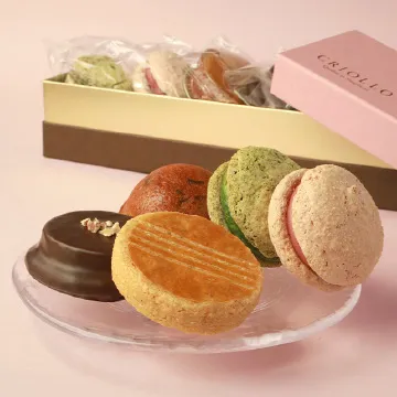 スプリングセットの写真