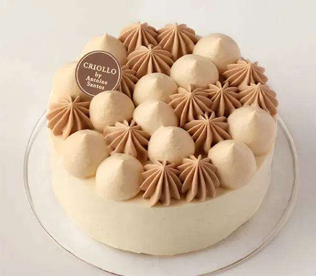 ガイア 12ｃｍの写真