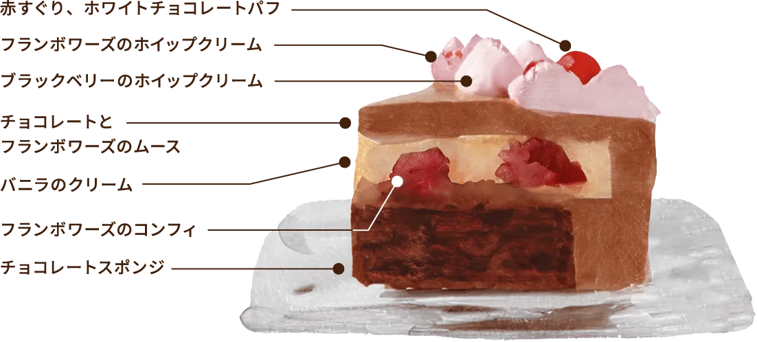 ショコラ・フランボワーズ・ノエル 断面イメージ