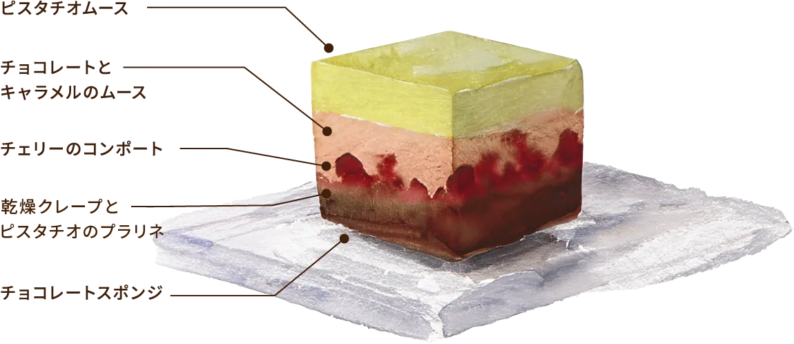 ディスカバリー（オーナメント付） 断面イメージ