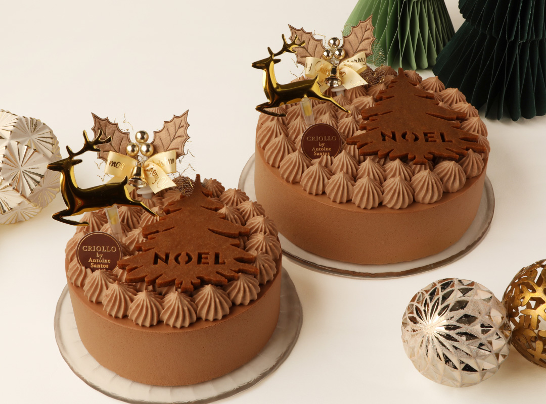 ザクザク食感が楽しいチョコレートケーキ：写真