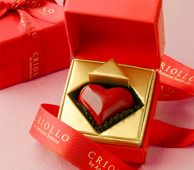 Propolis Chocolat