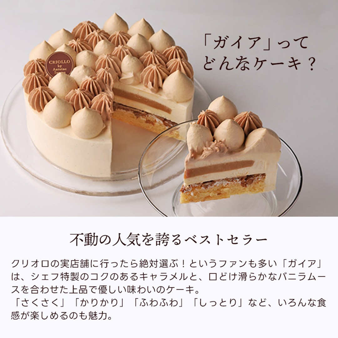 ガイア(お一人様サイズ)
