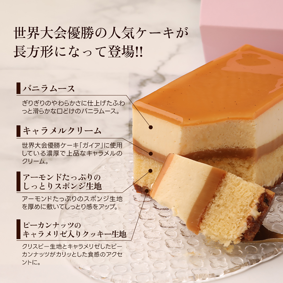 ガイア(お一人様サイズ)
