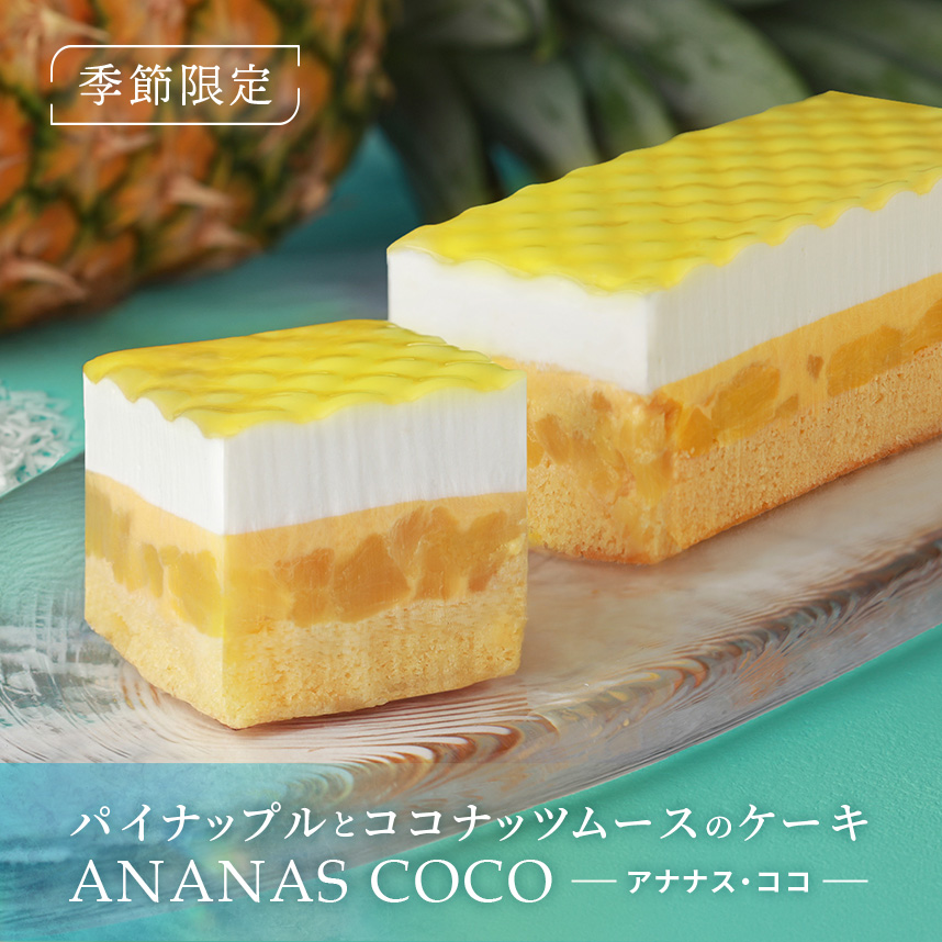 アナナス・ココ