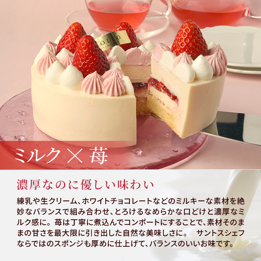 ミルキー・フレーズ（12cｍ）