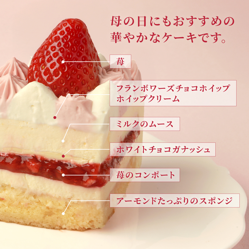 ミルキー・フレーズ（12cｍ）