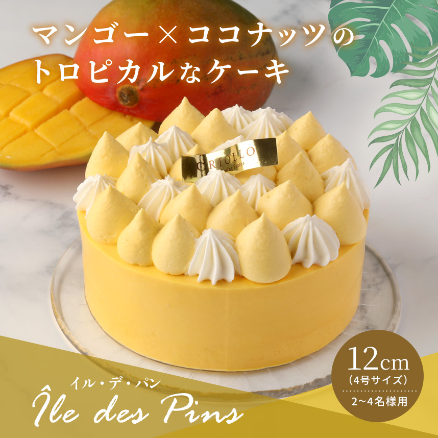 夏のフルーツたっぷり!!イル・デ・パン12cm