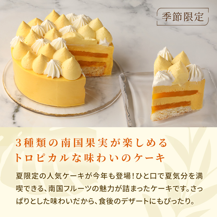 夏のフルーツたっぷり!!イル・デ・パン12cm