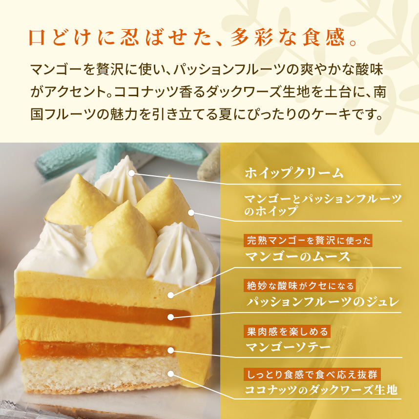 夏のフルーツたっぷり!!イル・デ・パン12cm