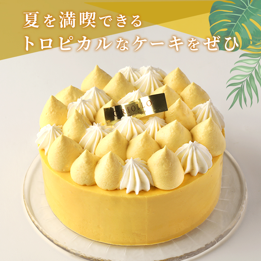 夏のフルーツたっぷり!!イル・デ・パン12cm