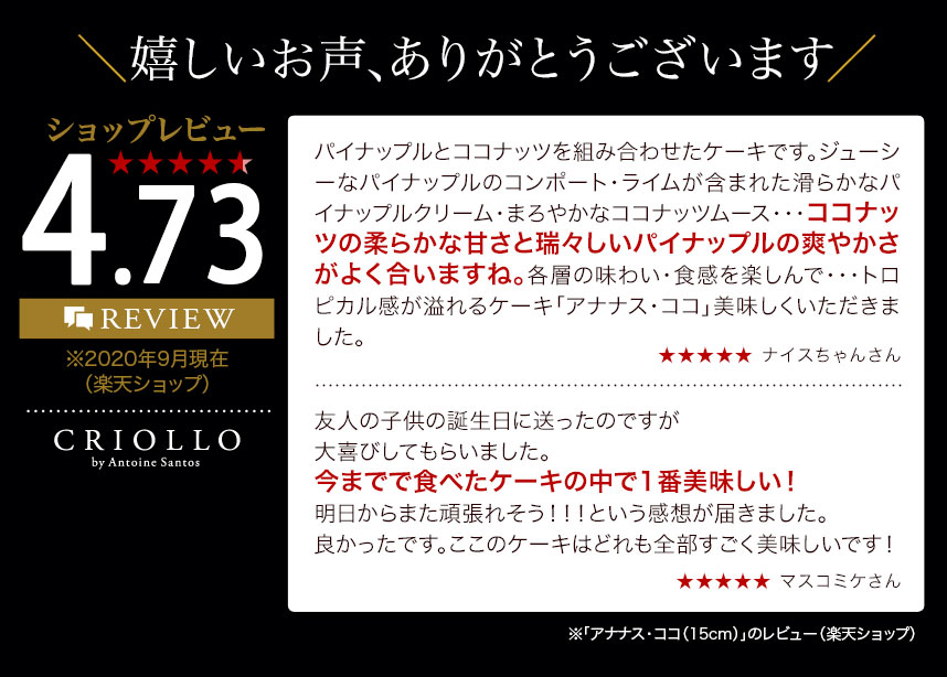 アナナス・ココレビュー