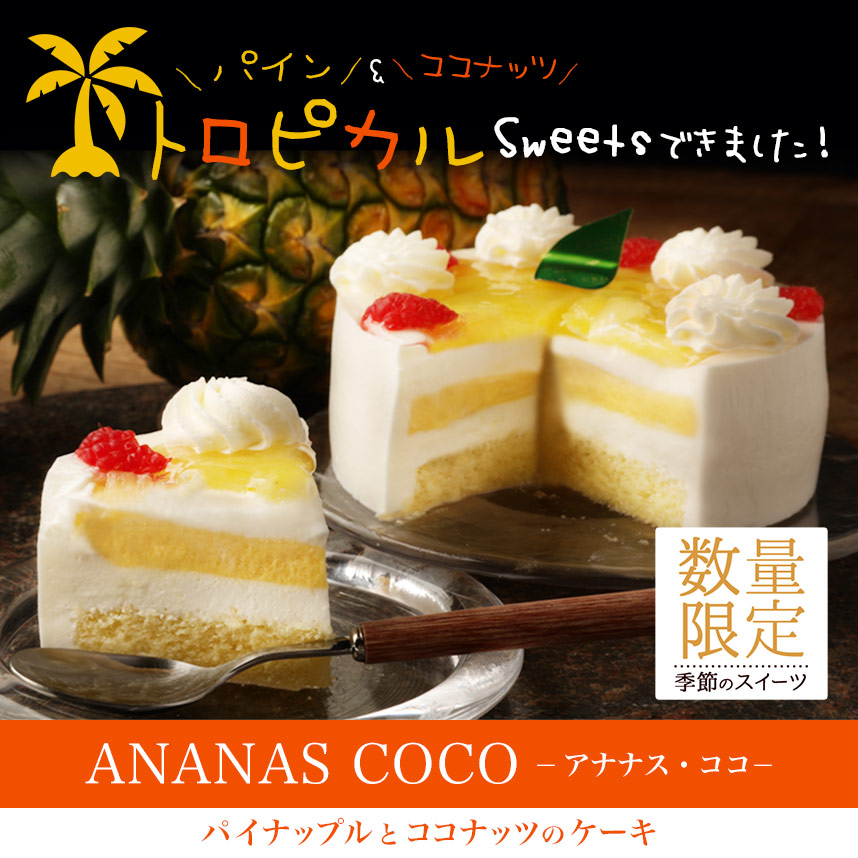 アナナス・ココ