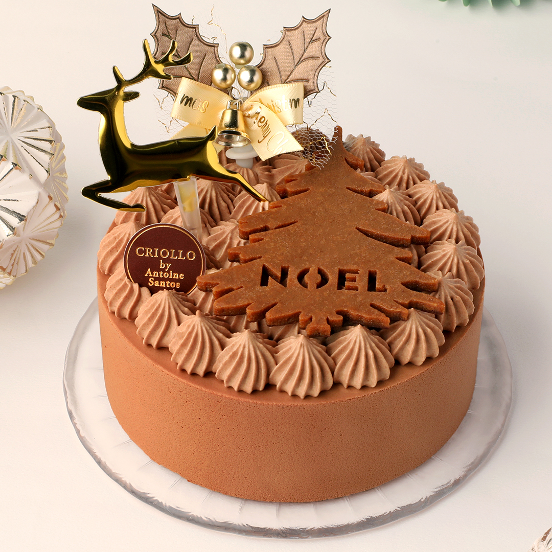 ショコラ・プラリネ・ノエル（12cm）