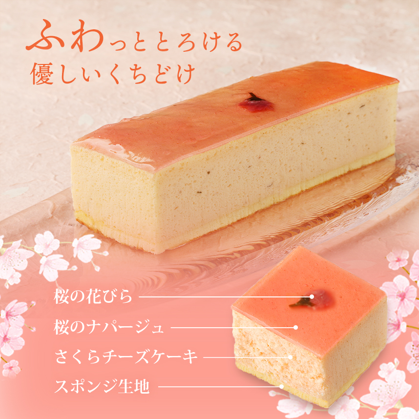 桜チーズケーキ