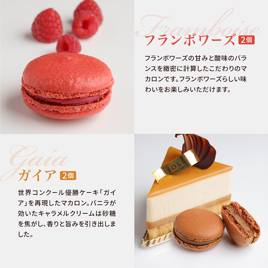 バニラマカロンさま専用 バニラマカロンさま専用 バニラマカロンさま専用