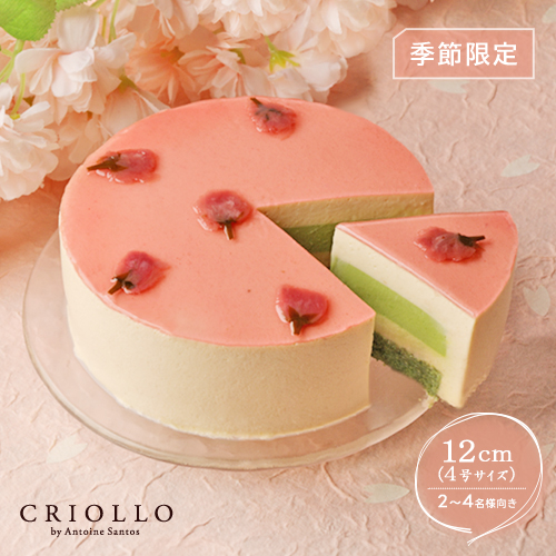 さくら抹茶ケーキ