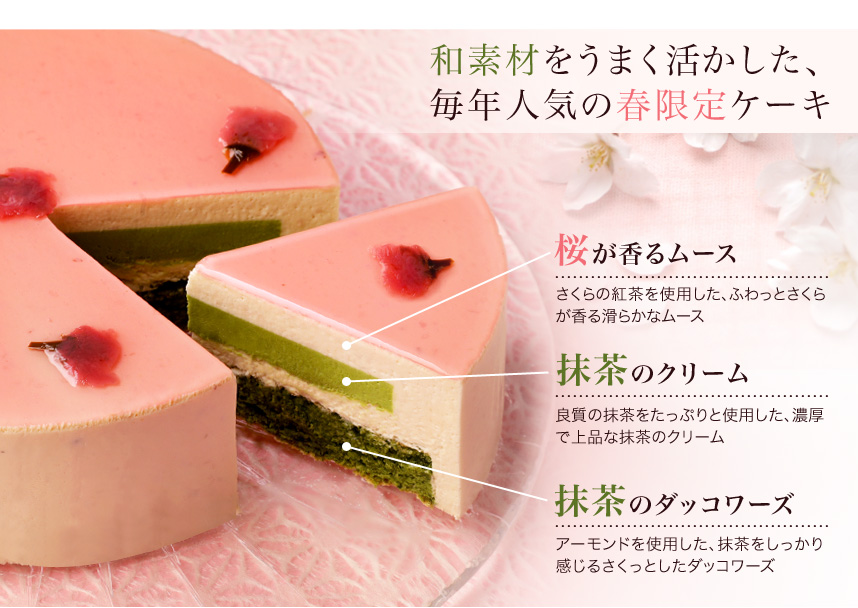 さくら抹茶ケーキ 5号 ホールケーキ 15cm 約4 6名様用 さくら抹茶ケーキ 5号 ホールケーキ 15cm 約4 6名様用