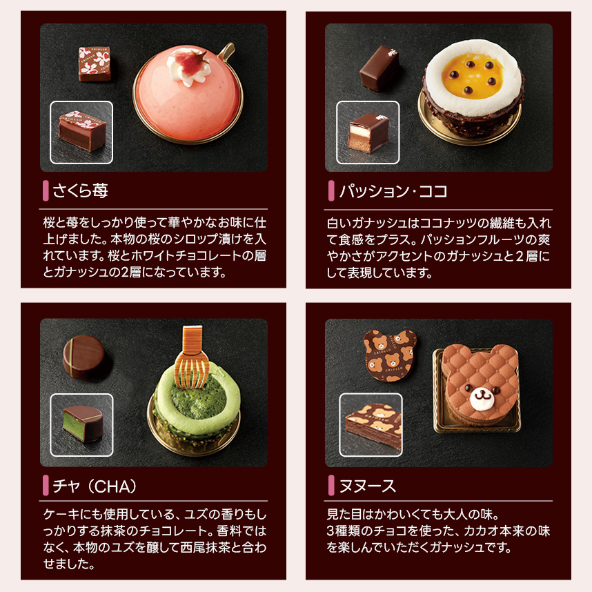 【チョコレートとワインのセット】バニュルス・リマージュ&ショコラ・プチガトー