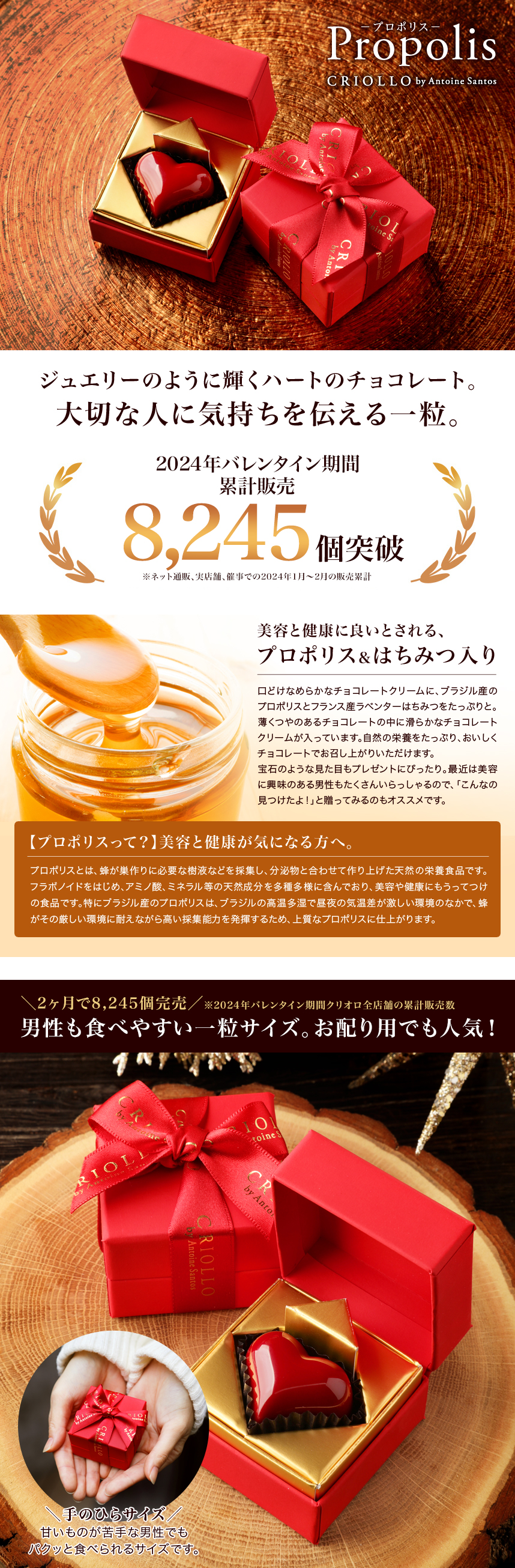 クリオロのチョコレート