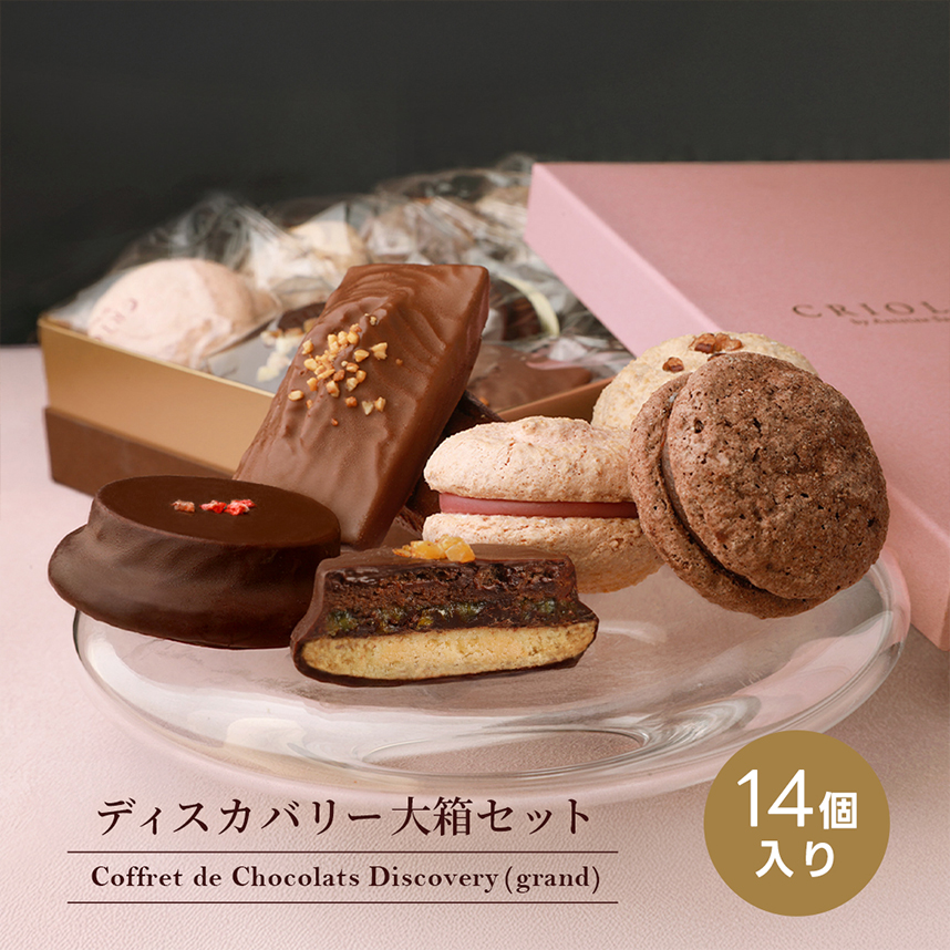 ディスカバリー大箱