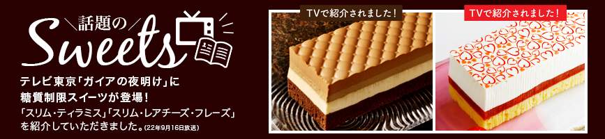 テレビ東京「ガイアの夜明け」番組内で紹介されました