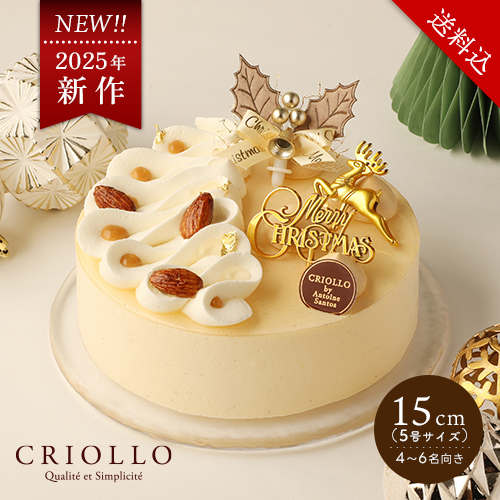 【クリスマス】タタン・ヴァニーユ・ノエル15cm