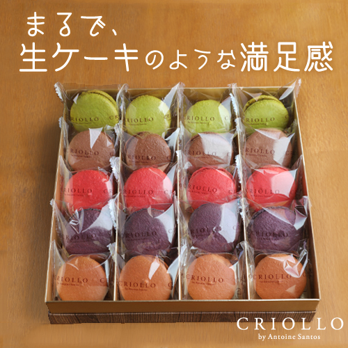 new_macaron20set.jpg