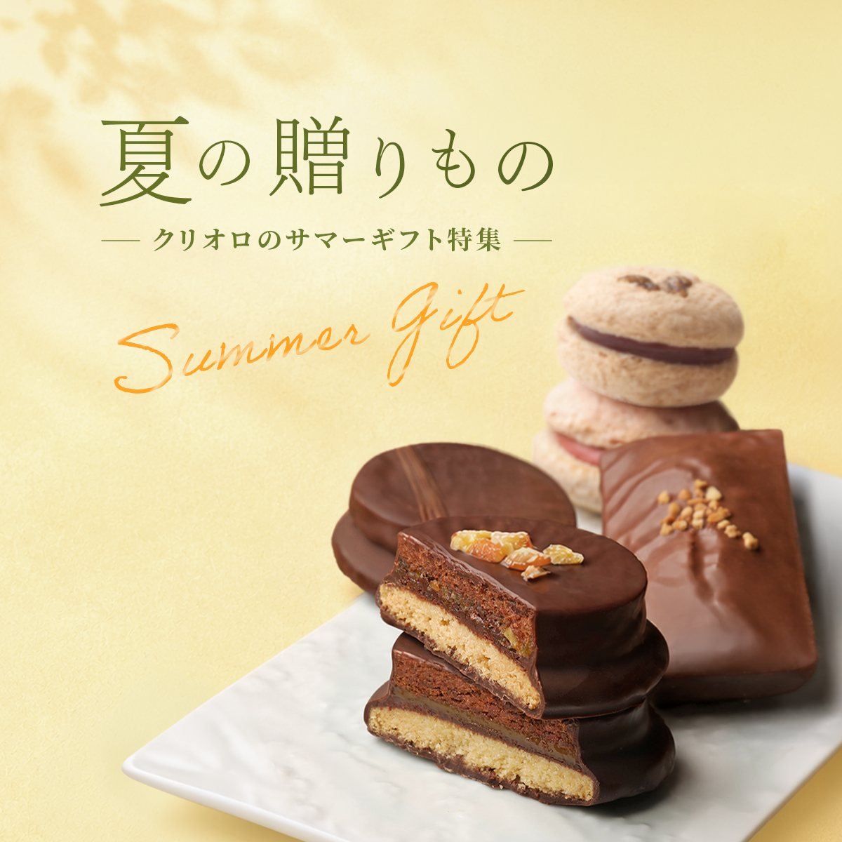 夏の贈り物特集