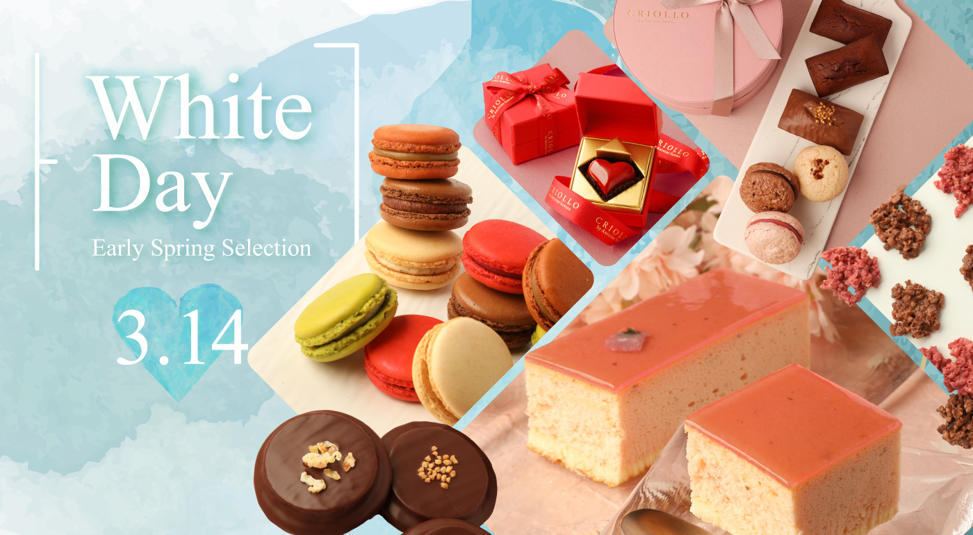 ホワイトデー特集