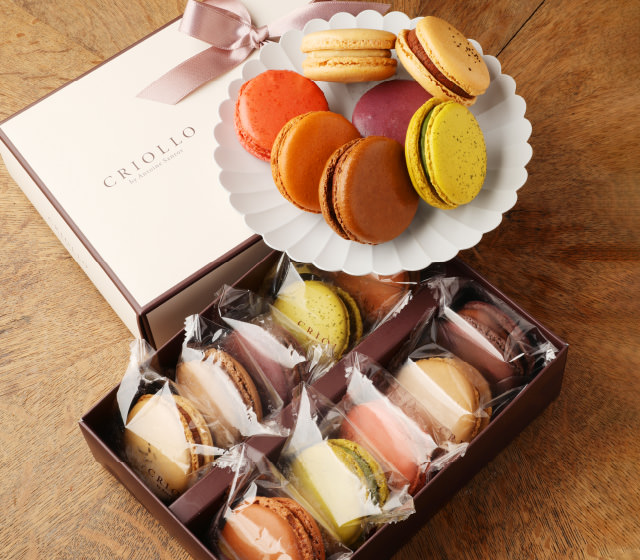Coffret de 10 Macarons マカロン10個セット