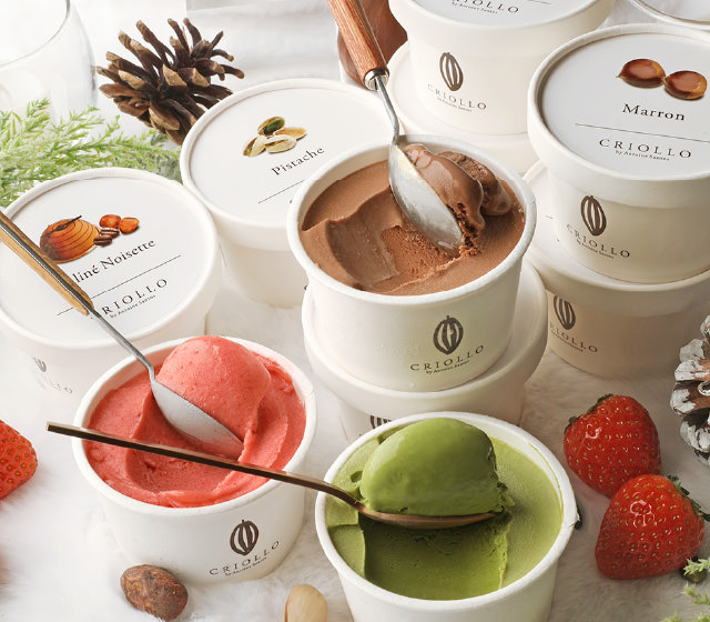 5 Glaces & Sorbets アイス  5個セット