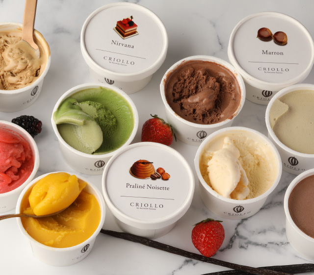 10 Glaces & Sorbets アイス  10個セット