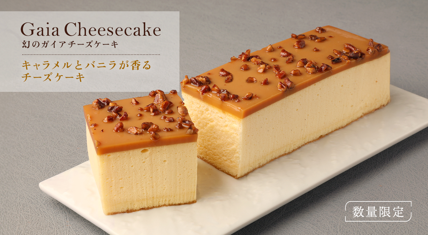 【数量限定】幻のガイアチーズケーキ （キャラメルとバニラのチーズケーキ）  