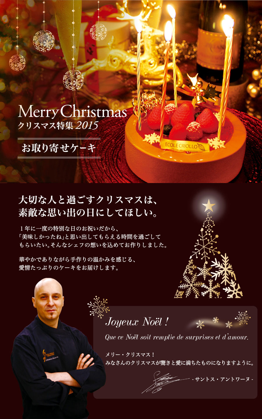 エコール クリオロ 2015クリスマスケーキ